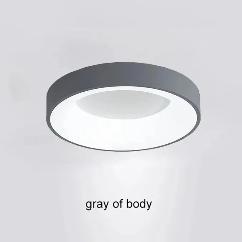 LED ceiling light Modern grey Log white 30/40/50 acrylic ceiling light Suitable for bedroom living room attic porch indoo