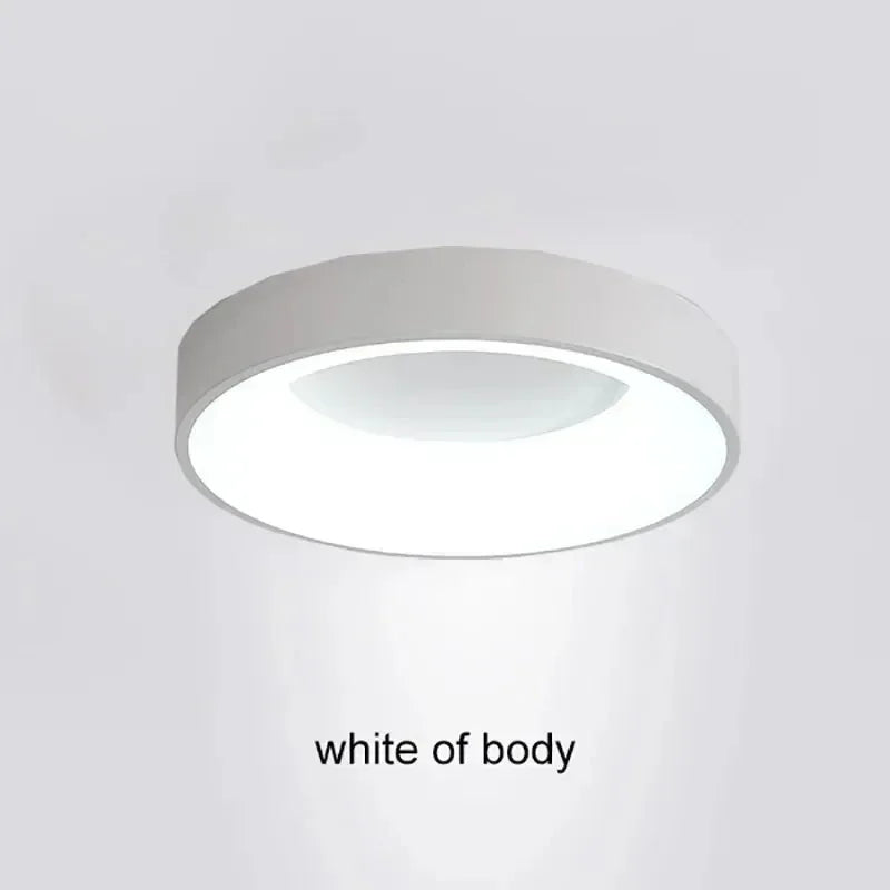 LED ceiling light Modern grey Log white 30/40/50 acrylic ceiling light Suitable for bedroom living room attic porch indoo