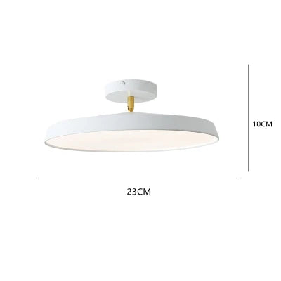 Nordic Designer Minimalist Circular LED Ceiling Light Bedroom Study Corridor Balcony Cloakroom Chandelier Ultra-thin Decoration