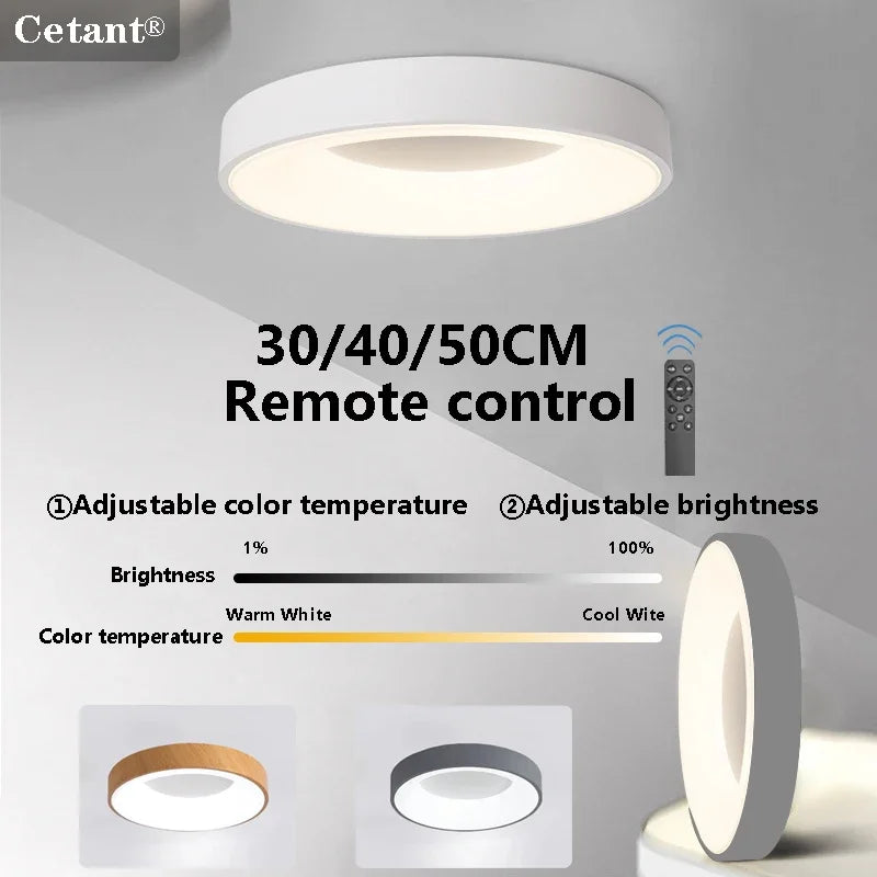 LED ceiling light Modern grey Log white 30/40/50 acrylic ceiling light Suitable for bedroom living room attic porch indoo