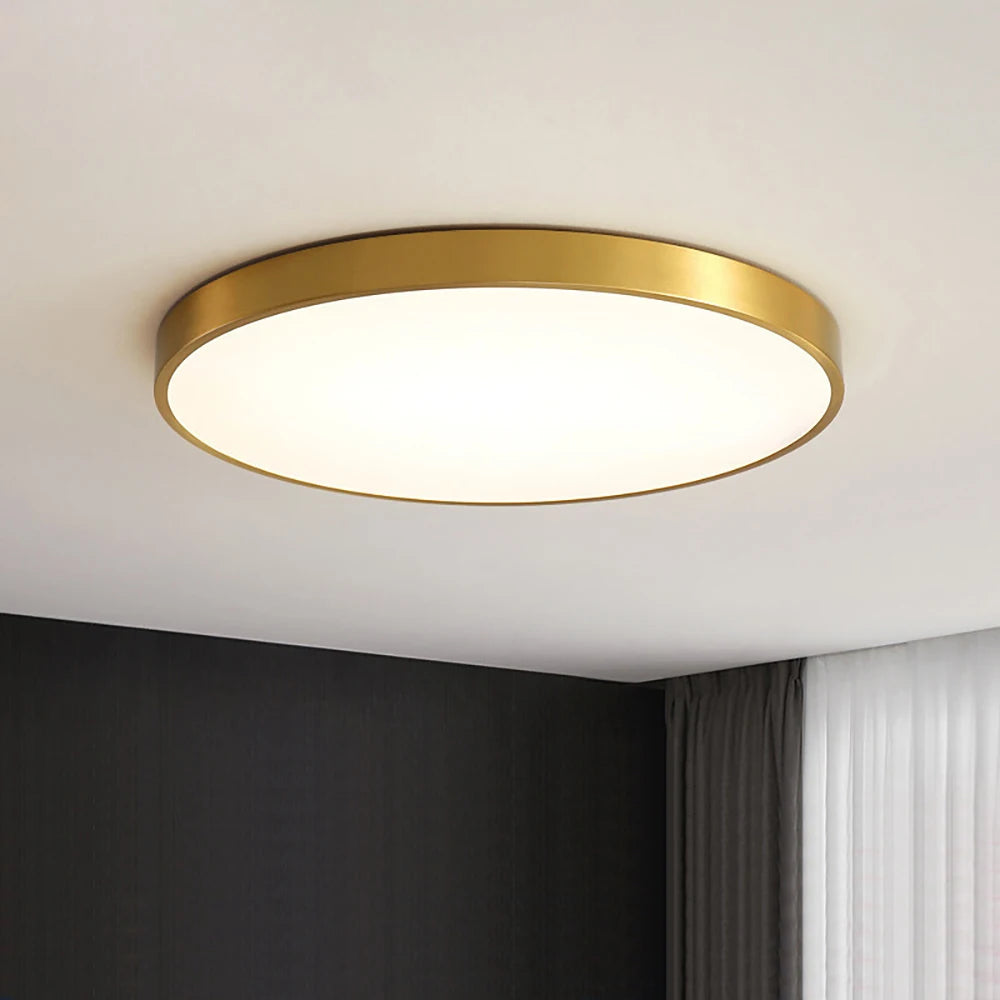 Ultra Thin LED Ceiling Lamp  Living Room light 60W 48W 36W 18W Lamps Bathroom lights Bedroom Kitchen  balcony Ceiling Lighting