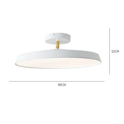 Nordic Designer Minimalist Circular LED Ceiling Light Bedroom Study Corridor Balcony Cloakroom Chandelier Ultra-thin Decoration