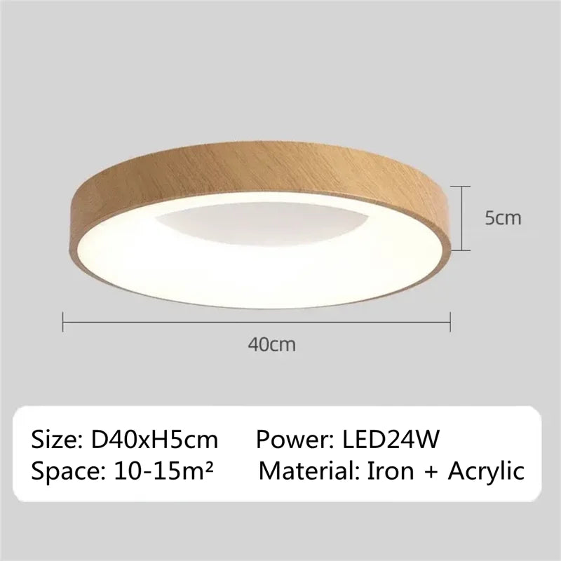 Modern LED Chandelier Indoor lighting living room bedroom ceiling light living room Kitchen corridor balcony light Surface Mount