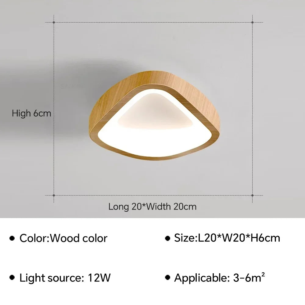 Nordic LED Ceiling Lamp For Living Dining Room Bedroom Aisle Cloakroom Balcony Ceiling Chandelier Indoor Decor Lighting Fixtures