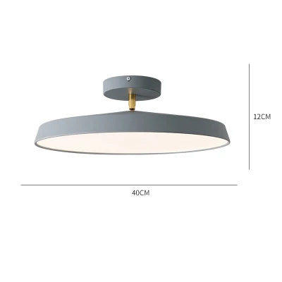 Nordic Designer Minimalist Circular LED Ceiling Light Bedroom Study Corridor Balcony Cloakroom Chandelier Ultra-thin Decoration