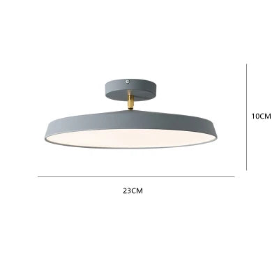 Nordic Designer Minimalist Circular LED Ceiling Light Bedroom Study Corridor Balcony Cloakroom Chandelier Ultra-thin Decoration