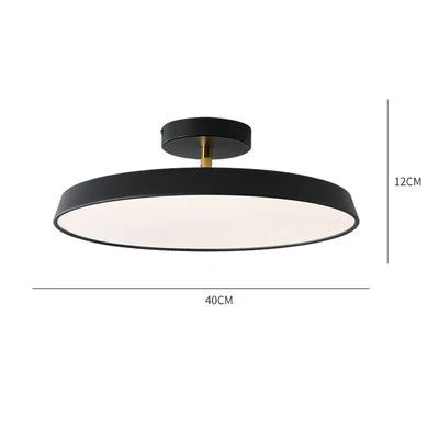 Nordic Designer Minimalist Circular LED Ceiling Light Bedroom Study Corridor Balcony Cloakroom Chandelier Ultra-thin Decoration