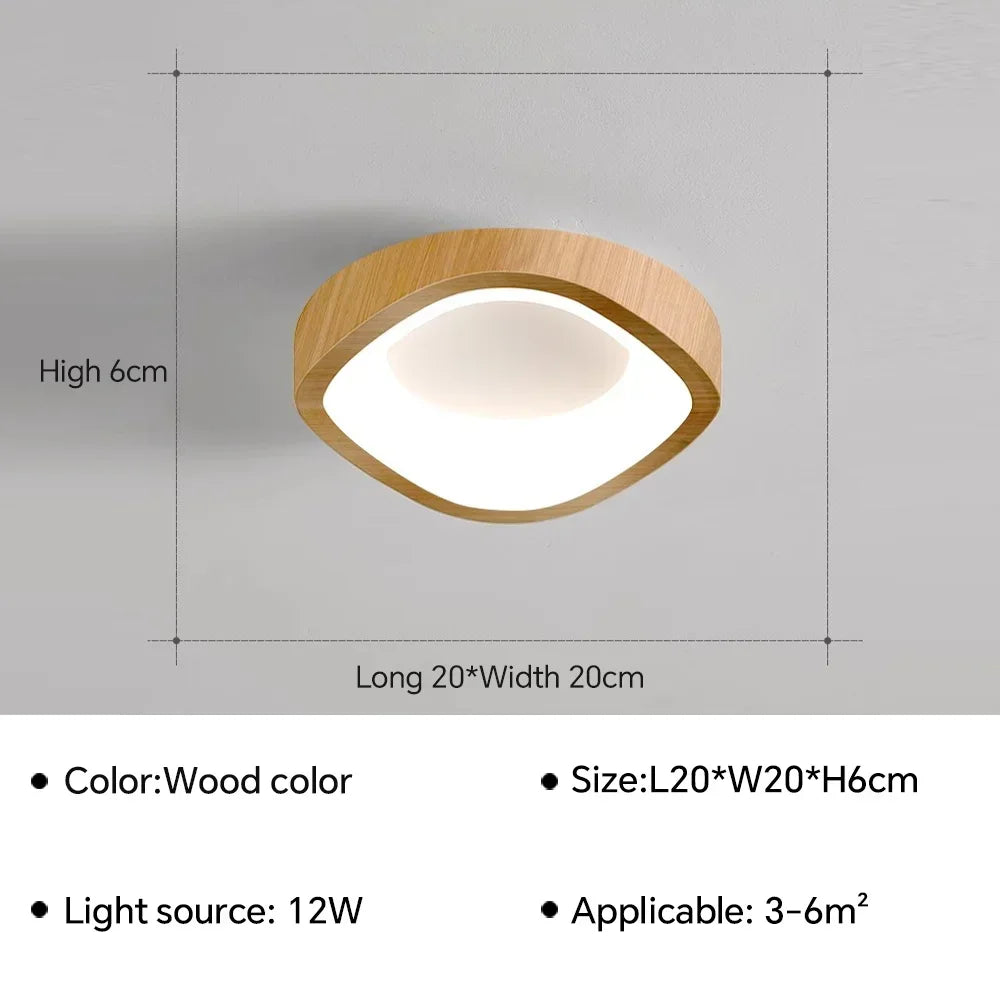 Nordic LED Ceiling Lamp For Living Dining Room Bedroom Aisle Cloakroom Balcony Ceiling Chandelier Indoor Decor Lighting Fixtures