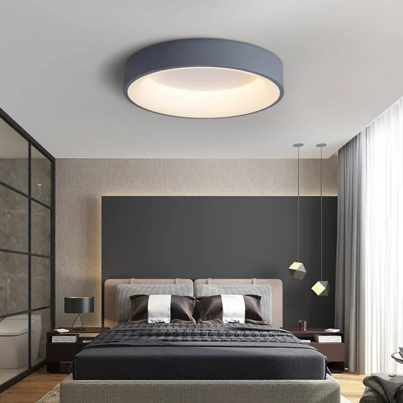 LED ceiling light Modern grey Log white 30/40/50 acrylic ceiling light Suitable for bedroom living room attic porch indoo