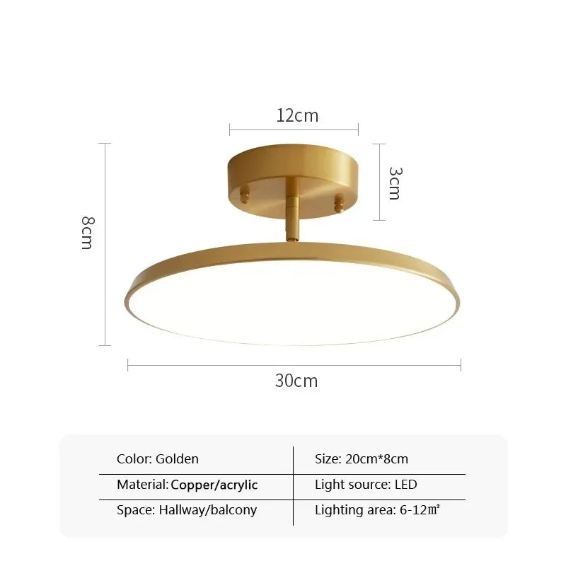 Modern LED Ceiling Light Minimalist Black Gold Rotatable Copper Lamps For Bedroom Living Room Entrance Hall Hallway Illumination