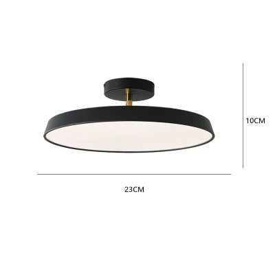 Nordic Designer Minimalist Circular LED Ceiling Light Bedroom Study Corridor Balcony Cloakroom Chandelier Ultra-thin Decoration