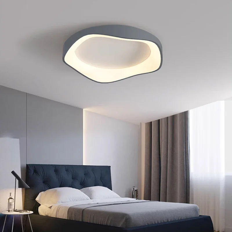 Modern LED Ceiling Light Minimalist Black White Gray Flower Shaped Lamps For Living Room Dining Rooms Bedroom Study Illumination