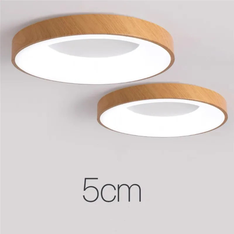 Modern LED Chandelier Indoor lighting living room bedroom ceiling light living room Kitchen corridor balcony light Surface Mount