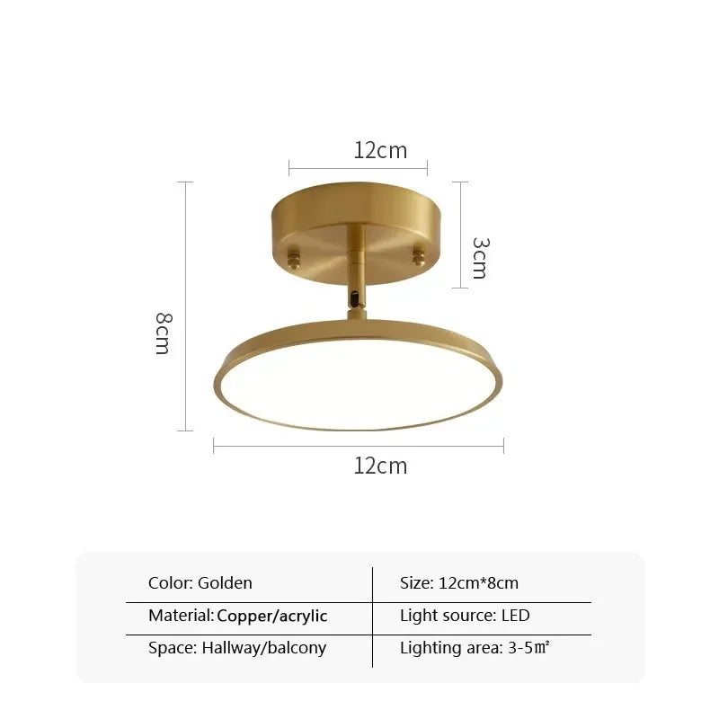 Modern LED Ceiling Light Minimalist Black Gold Rotatable Copper Lamps For Bedroom Living Room Entrance Hall Hallway Illumination