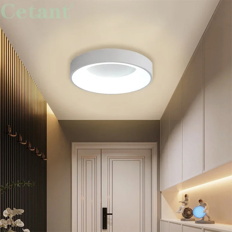 LED ceiling light Modern grey Log white 30/40/50 acrylic ceiling light Suitable for bedroom living room attic porch indoo