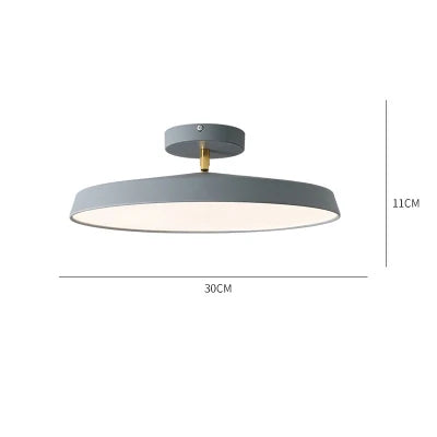 Nordic Designer Minimalist Circular LED Ceiling Light Bedroom Study Corridor Balcony Cloakroom Chandelier Ultra-thin Decoration