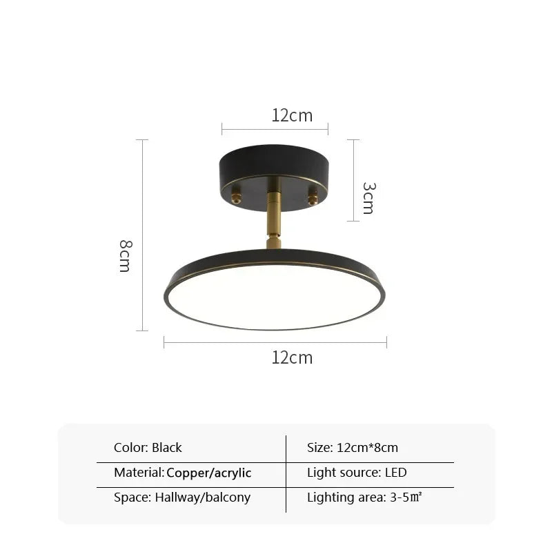 Modern LED Ceiling Light Minimalist Black Gold Rotatable Copper Lamps For Bedroom Living Room Entrance Hall Hallway Illumination