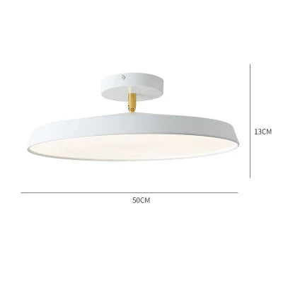 Nordic Designer Minimalist Circular LED Ceiling Light Bedroom Study Corridor Balcony Cloakroom Chandelier Ultra-thin Decoration