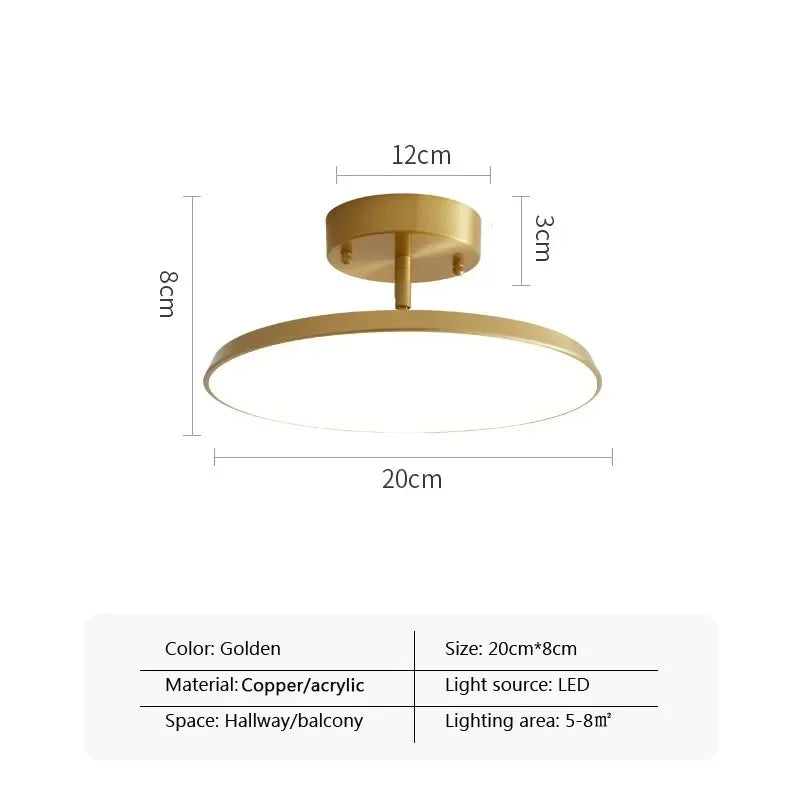 Modern LED Ceiling Light Minimalist Black Gold Rotatable Copper Lamps For Bedroom Living Room Entrance Hall Hallway Illumination