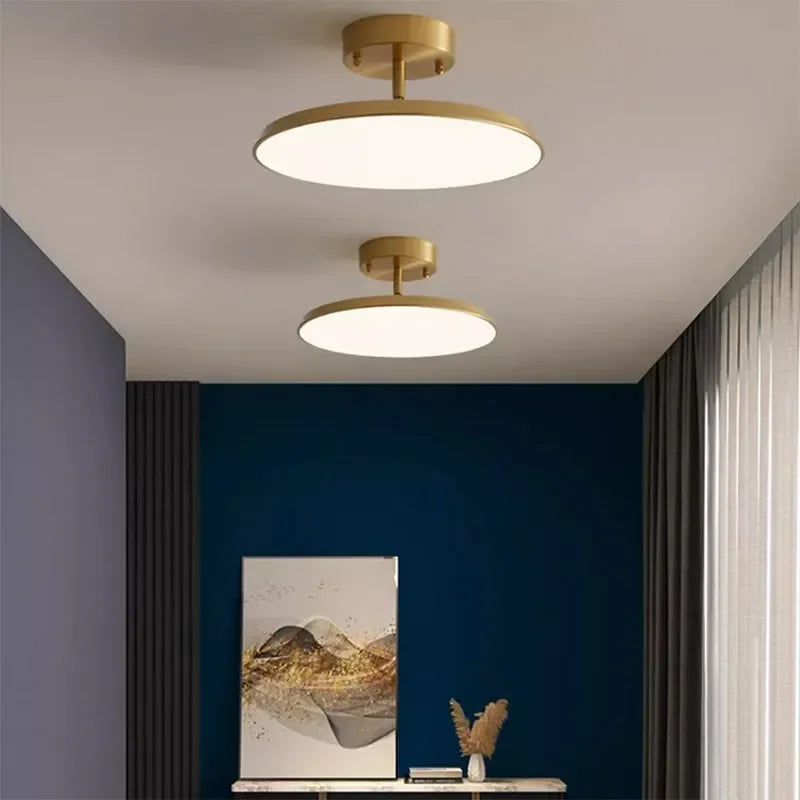 Modern LED Ceiling Light Rotatable Black Gold Ceiling Light Corridor Bedroom Living Room Kitchen Balcony Indoor Lighting Lustre