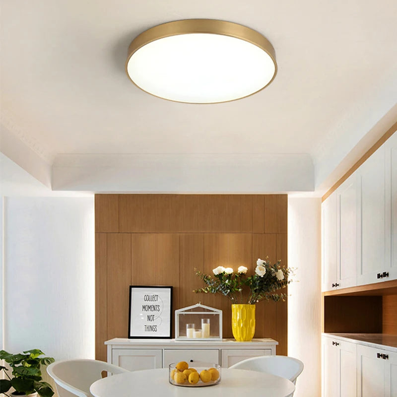 Modern LED Ceiling Light Simple Round Living Room Bedroom Aisle Balcony Study Kitchen Lighting Fixtures