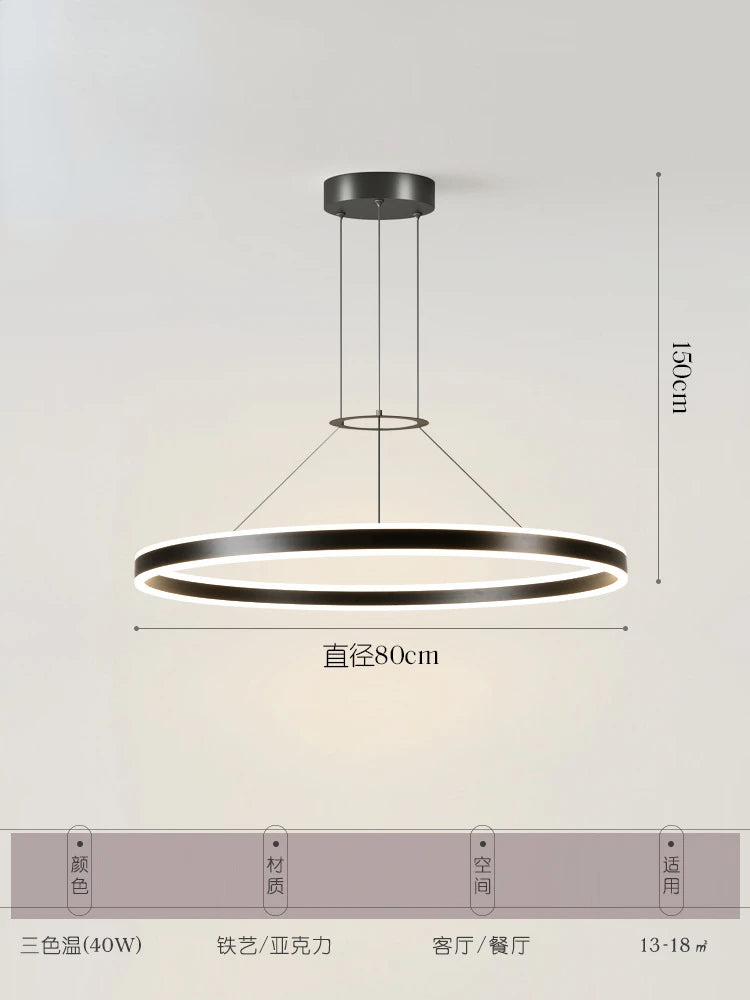 Minimalist Led Pendant Lamp For Modern Living Room Bedroom Dining Kitchen Black Ring Hanging Ceiling Chandelier Lighting Fixture