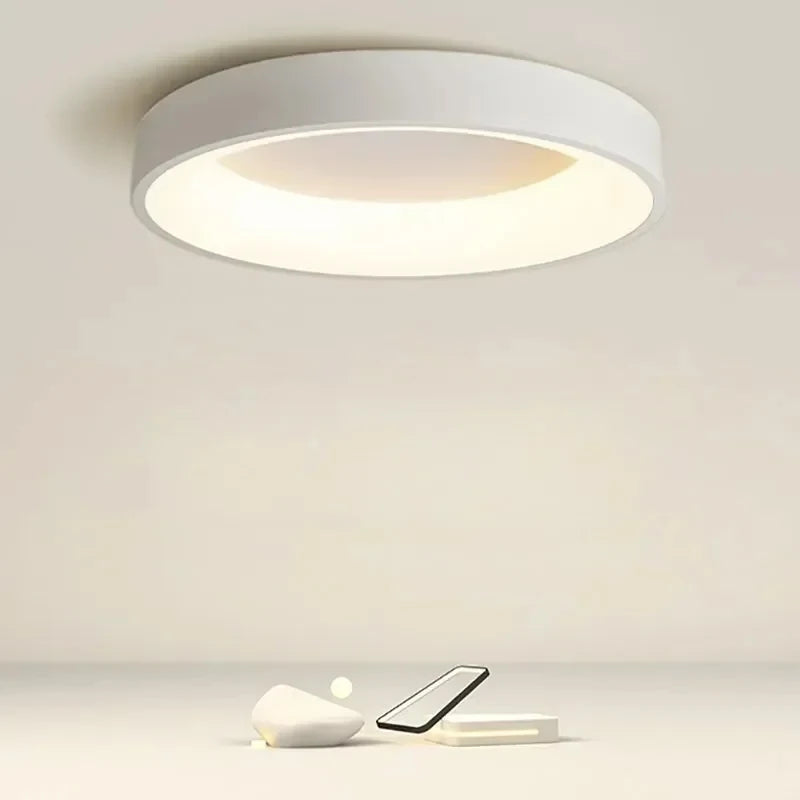 LED ceiling light Modern grey Log white 30/40/50 acrylic ceiling light Suitable for bedroom living room attic porch indoo