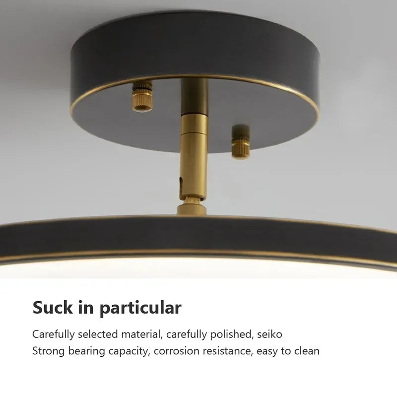 Modern LED Ceiling Light Minimalist Black Gold Rotatable Copper Lamps For Bedroom Living Room Entrance Hall Hallway Illumination